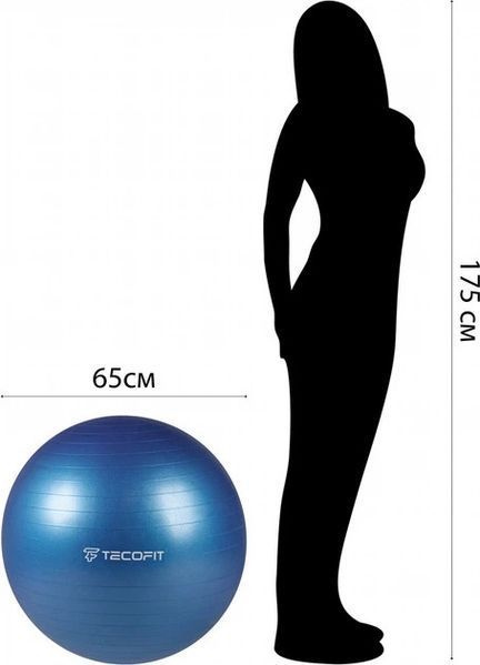 М'яч для йоги з насосом TECOFIT PVC/ПВХ 65 см 900 г TOP17113578/1 фото