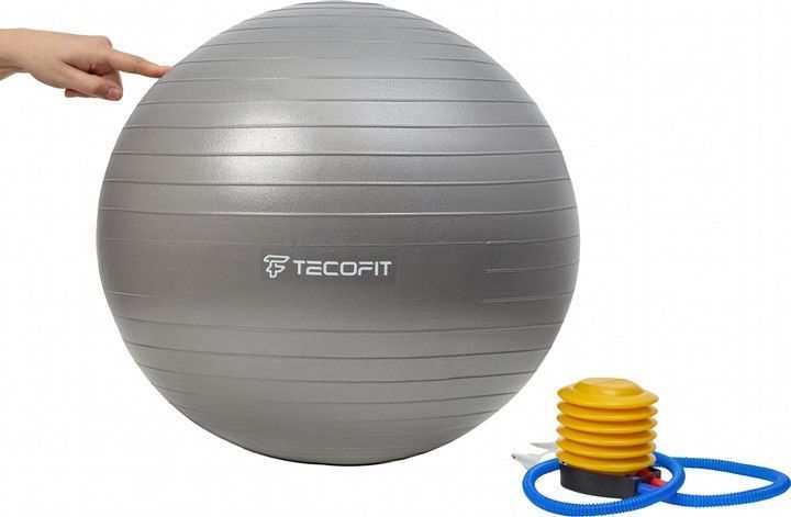 Мяч для фитнеса (фитбол) с насосом TECOFIT ПВХ 65 см (900 г) (TOP17113578) TOP17113578 фото